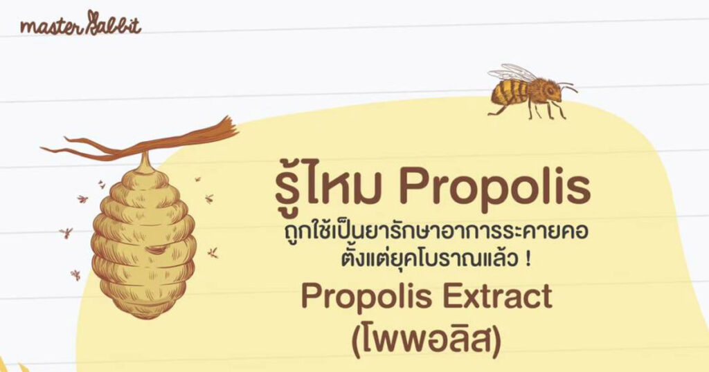 โพรโพลิส Propolis ผึ้ง Bee