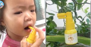 โพรโพลิสสำหรับเด็ก Propolis for kids