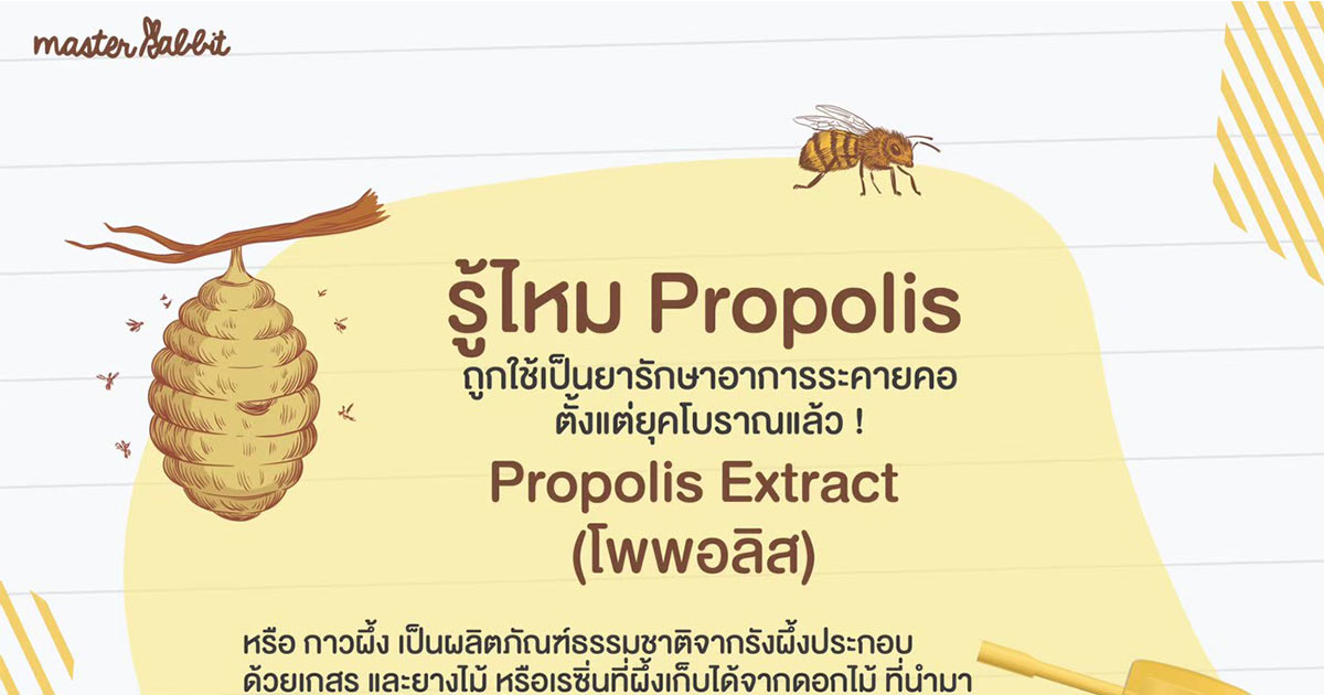โพรโพลิสเด็ก Propolis เด็ก - Master Rabbit