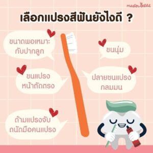 การเลือกแปรงลูก