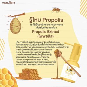 โพรโพลิส Propolis