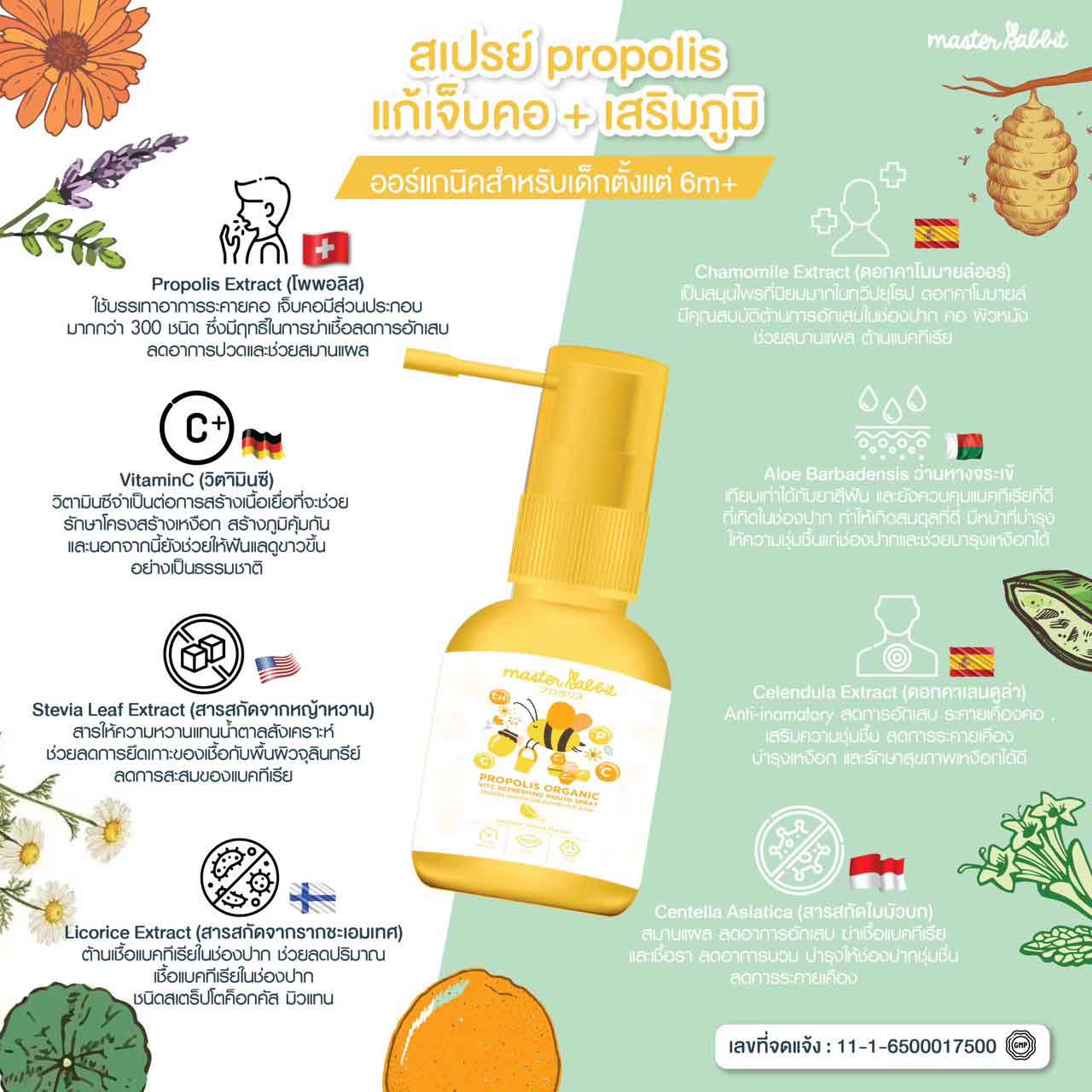 โพรโพลิสเด็ก Propolis เด็ก - Master Rabbit