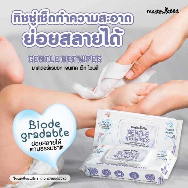ทิชชู่เปียกย่อยสลายได้